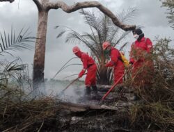 3 Hari Ditangani Helikopter Wb Karhutla Di Pelalawan Riau Yang Sudah 3 Pekan Membara Akhirnya Padam